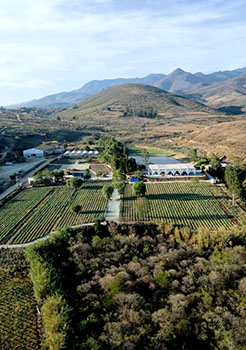 loma_1_small loma_1_small
